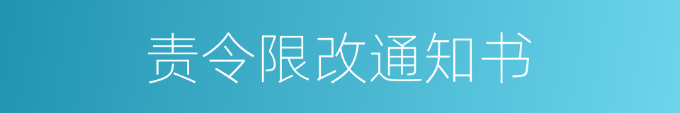 责令限改通知书的同义词