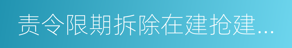 责令限期拆除在建抢建违法建设通知书的同义词