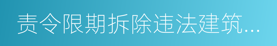 责令限期拆除违法建筑决定书的同义词