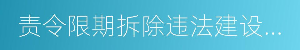 责令限期拆除违法建设决定书的同义词