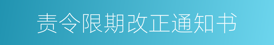 责令限期改正通知书的同义词