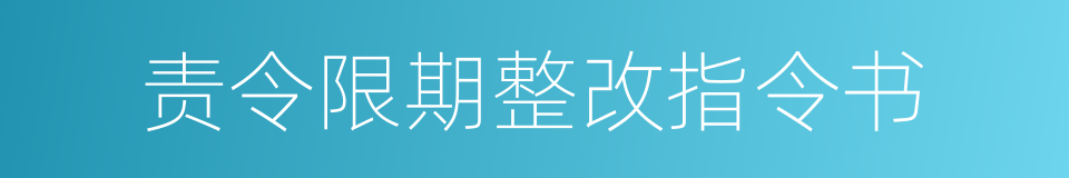 责令限期整改指令书的同义词