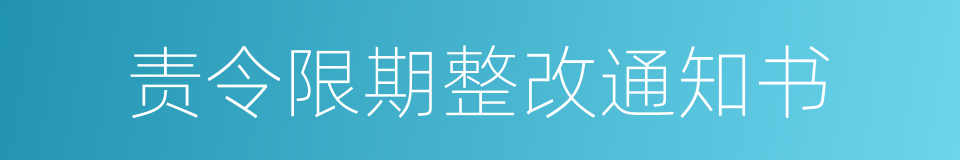 责令限期整改通知书的同义词