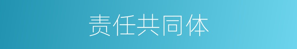 责任共同体的同义词