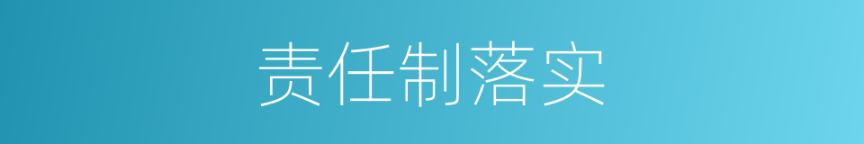 责任制落实的同义词