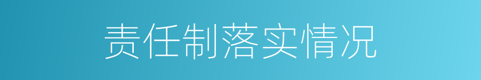 责任制落实情况的同义词