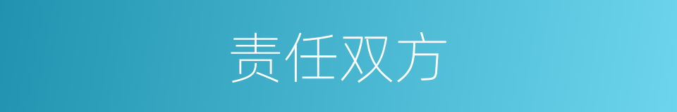 责任双方的同义词