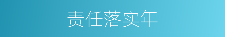 责任落实年的同义词