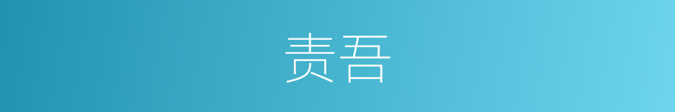 责吾的同义词