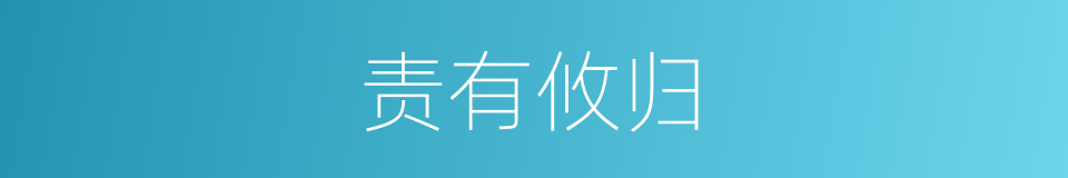 责有攸归的同义词