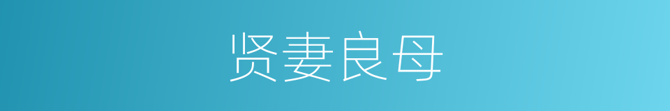 贤妻良母的意思