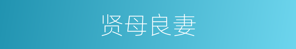 贤母良妻的意思