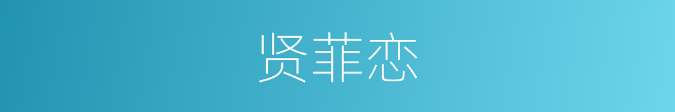 贤菲恋的同义词