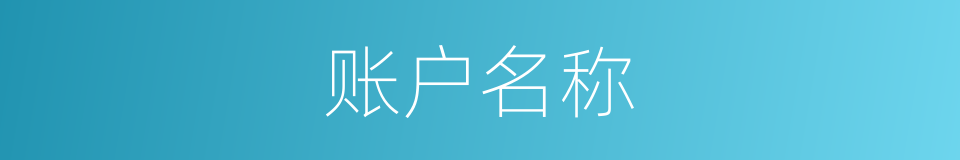 账户名称的同义词