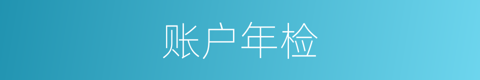 账户年检的意思