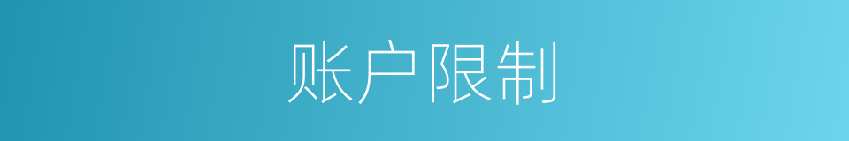 账户限制的同义词