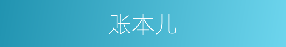 账本儿的同义词