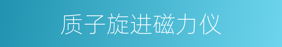 质子旋进磁力仪的同义词