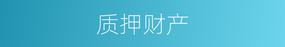 质押财产的同义词