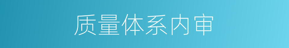 质量体系内审的同义词