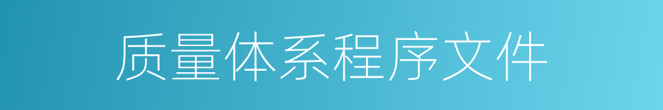 质量体系程序文件的同义词