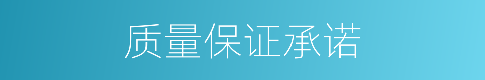 质量保证承诺的同义词