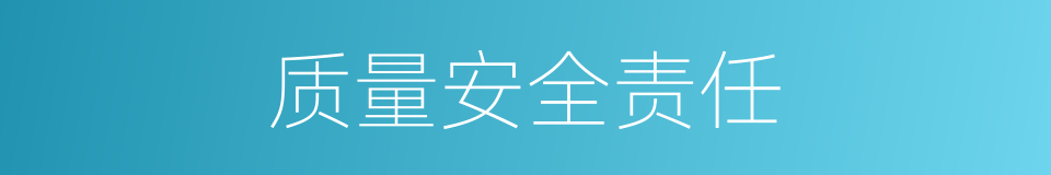 质量安全责任的同义词