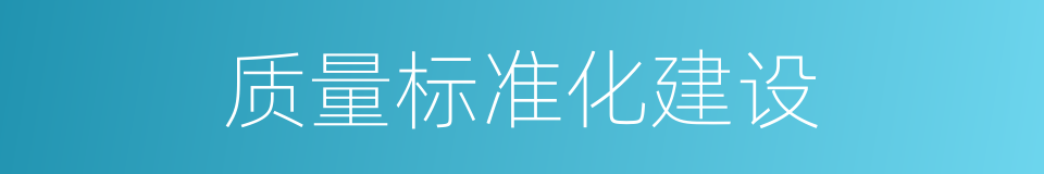 质量标准化建设的同义词