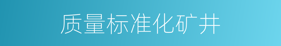 质量标准化矿井的同义词