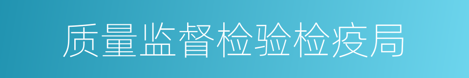 质量监督检验检疫局的同义词