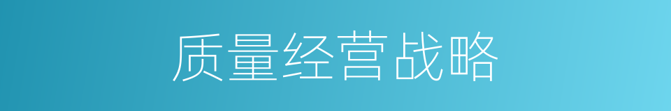 质量经营战略的同义词