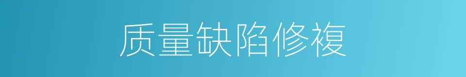 质量缺陷修複的同义词