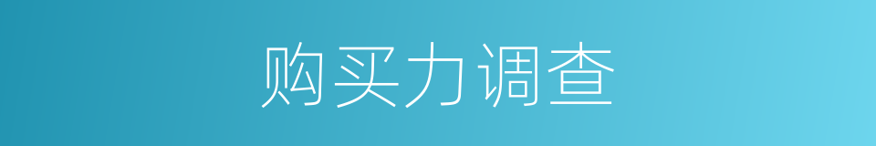 购买力调查的同义词