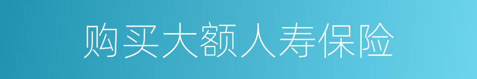 购买大额人寿保险的同义词