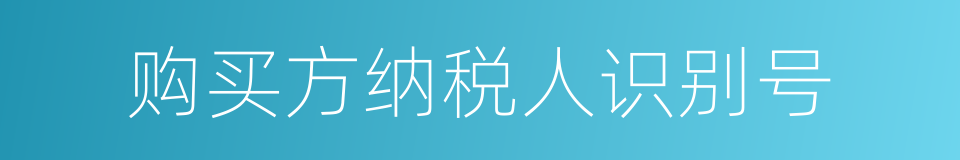 购买方纳税人识别号的同义词