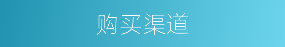 购买渠道的同义词