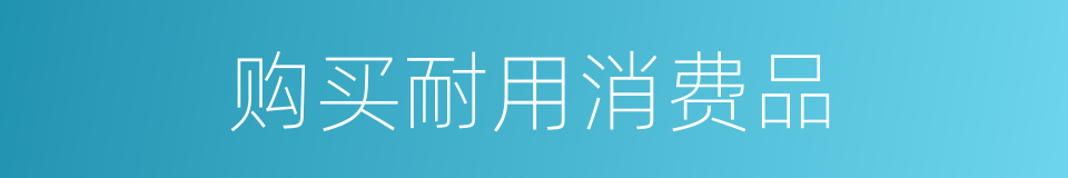 购买耐用消费品的同义词