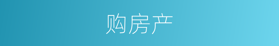 购房产的同义词