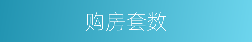 购房套数的同义词
