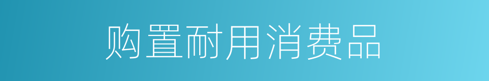 购置耐用消费品的同义词