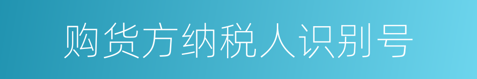 购货方纳税人识别号的同义词