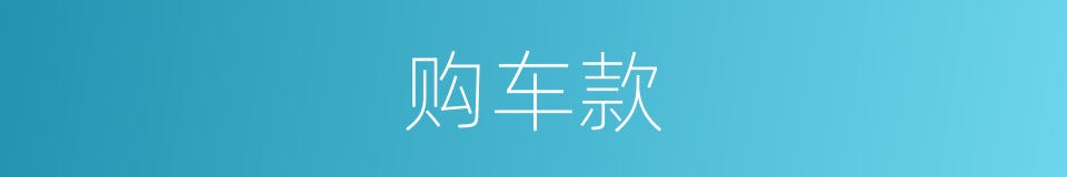 购车款的同义词