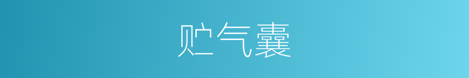 贮气囊的同义词