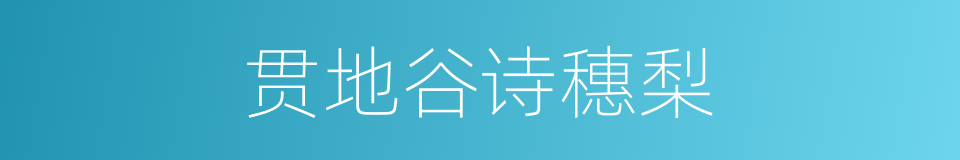 贯地谷诗穗梨的同义词