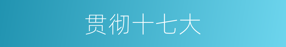 贯彻十七大的同义词