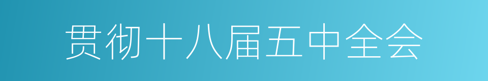 贯彻十八届五中全会的同义词