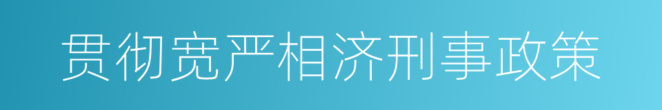 贯彻宽严相济刑事政策的同义词