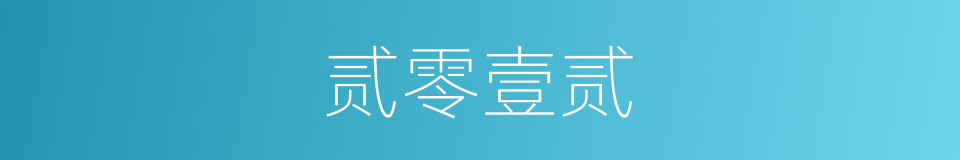 贰零壹贰的同义词