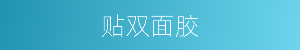 贴双面胶的同义词