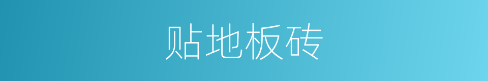 贴地板砖的同义词